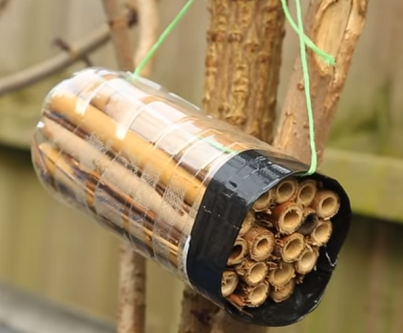 Hotová lahev s bambusovými tyčinkami jako domeček pro včely.